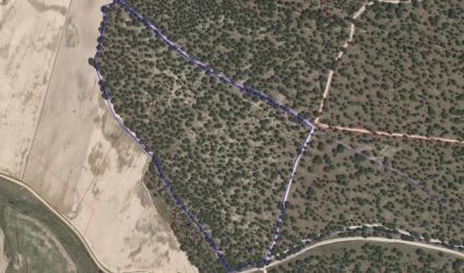 finca rústica en zarza (la)