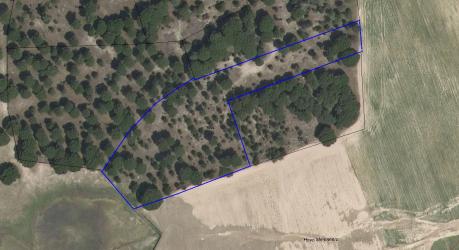 finca rústica en zarza (la)