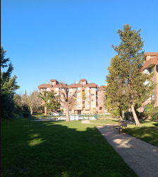 vivienda en rozas de madrid (las)