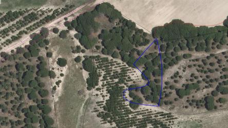 finca rústica en zarza (la)