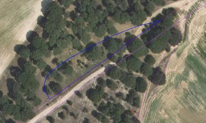 finca rústica en zarza (la)