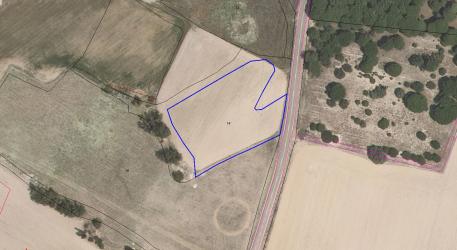 finca rústica en zarza (la)