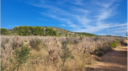 finca rústica en penÍscola/peÑÍscola