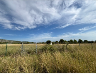 finca rústica en penÍscola/peÑÍscola