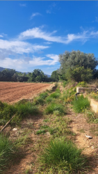 finca rústica en penÍscola/peÑÍscola