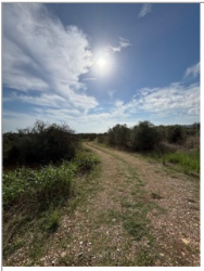 finca rústica en penÍscola/peÑÍscola