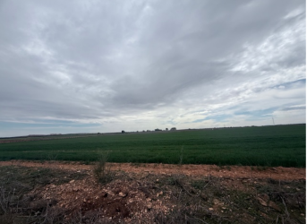 finca rústica en manzanares