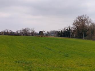 finca rústica en sant gregori