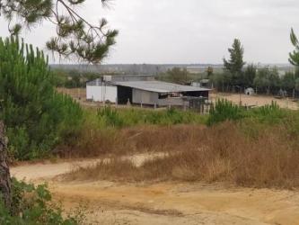 finca rústica en almonte
