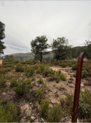 finca rústica en petrer
