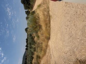 finca rústica en peraleda de san roman