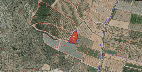 finca rústica en alcalÀ de xivert