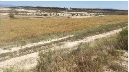 finca rústica en mazarron
