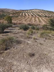 finca rústica en chimeneas