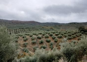 finca rústica en villares (los)