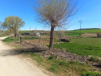 finca rústica en medina de rioseco