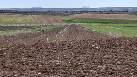 finca rústica en villasequilla