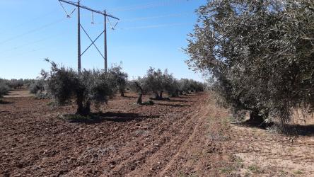 finca rústica en villasequilla