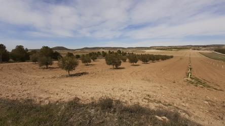 finca rústica en villasequilla