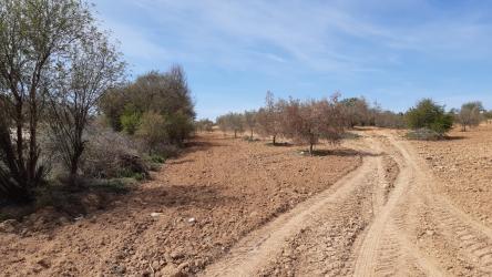 finca rústica en villasequilla