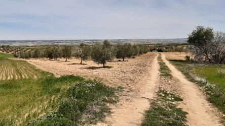 finca rústica en villasequilla
