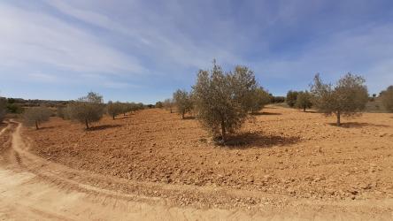 finca rústica en villasequilla