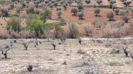 finca rústica en villasequilla
