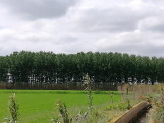 finca rústica en sobradiel