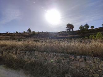 finca rústica en monover-monovar