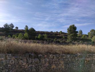 finca rústica en monover-monovar