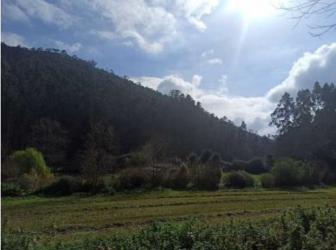 finca rústica en castrillon