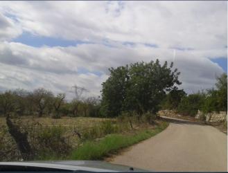 finca rústica en llubi