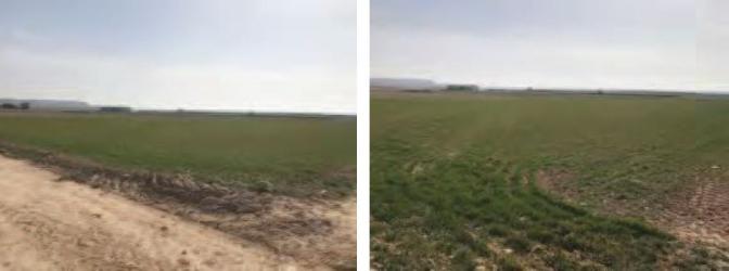 finca rústica en huerta de valdecarabanos