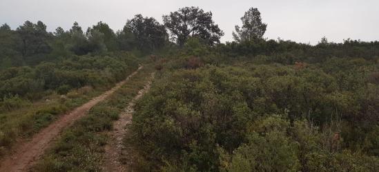 finca rústica en xert-chert