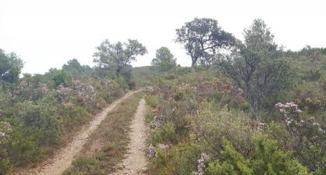 finca rústica en xert-chert