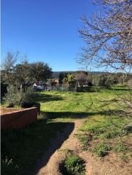 finca rústica en belvis de monroy