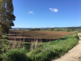 finca rústica en jimena de la frontera