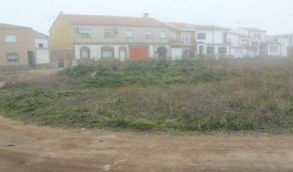 solar en polan