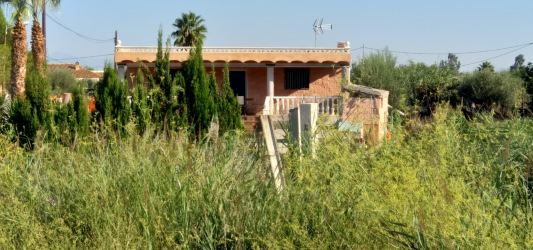 finca rústica en nules