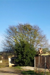 vivienda en cheste