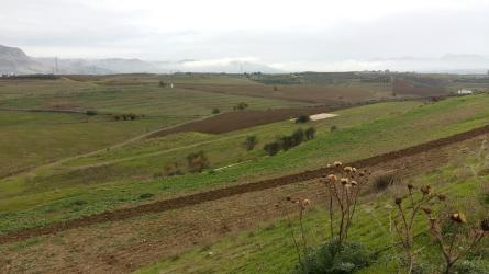 finca rústica en cartama