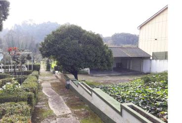 vivienda en oleiros