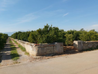 finca rústica en vila-real-villareal