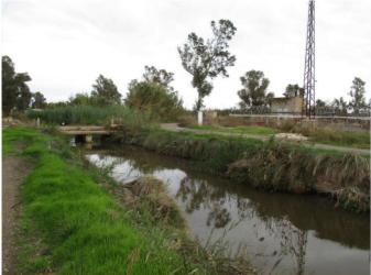 finca rústica en almenara