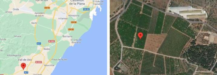 finca rústica en la vall d'uixo