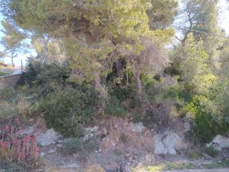 solar en calafell