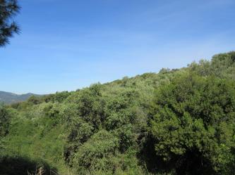 finca rústica en jabugo