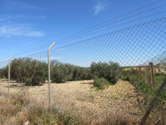 finca rústica en rociana del condado