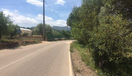 finca rústica en algimia de alfara