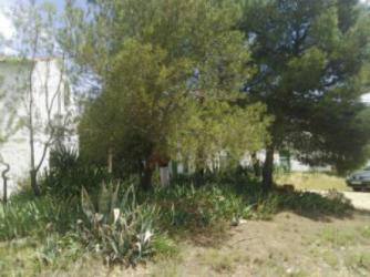 finca rústica en roda (la)